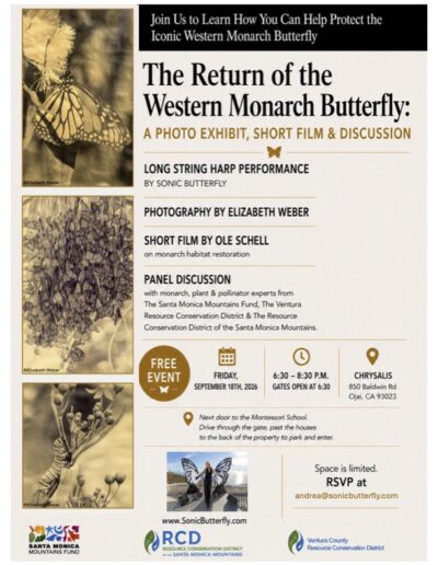 The Return of the Western Monarch Butterfly