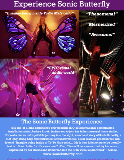 SB Experience in Chrysalis